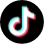 tiktok icon